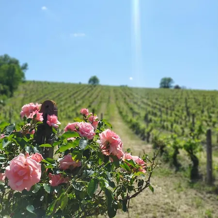 カントリーハウス Buon Riposo - Country In The Heart Of Tuscany