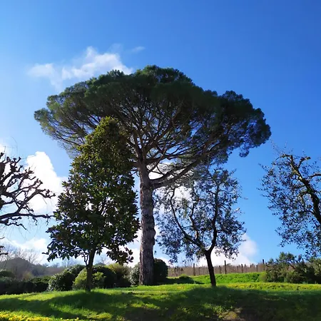 Buon Riposo - Country In The Heart Of Tuscany בית כפרי San Giovanni a Corazzano