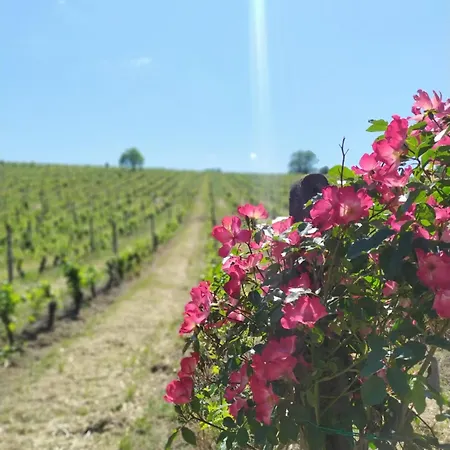 Buon Riposo - Country In The Heart Of Tuscany בית כפרי