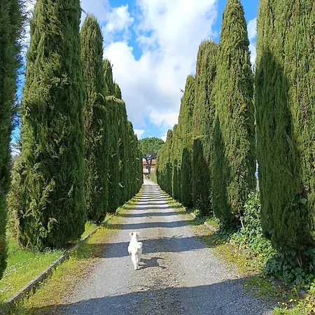 Buon Riposo - Country In The Heart Of Tuscany * San Giovanni a Corazzano
