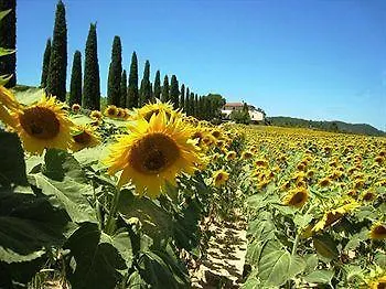Buon Riposo - Country In The Heart Of Tuscany Séjour à la campagne San Giovanni a Corazzano